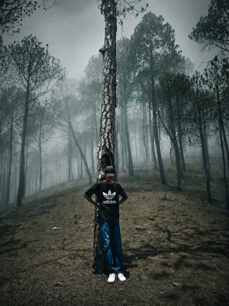 ChatGPT Foggy Forest AI Photo Editing Prompts